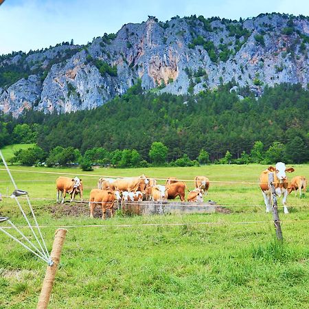 Hotel Glamping Hohe Wand - Zelt Mit Sternenfenster Und Whirlpool Maiersdorf Esterno foto