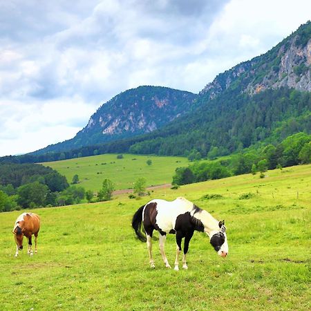 Hotel Glamping Hohe Wand - Zelt Mit Sternenfenster Und Whirlpool Maiersdorf Esterno foto