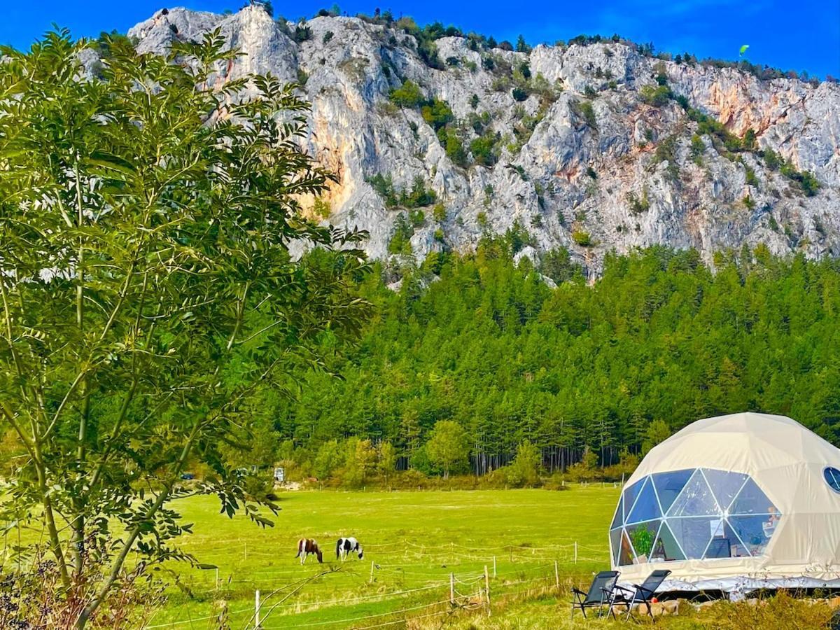 Hotel Glamping Hohe Wand - Zelt Mit Sternenfenster Und Whirlpool Maiersdorf Esterno foto